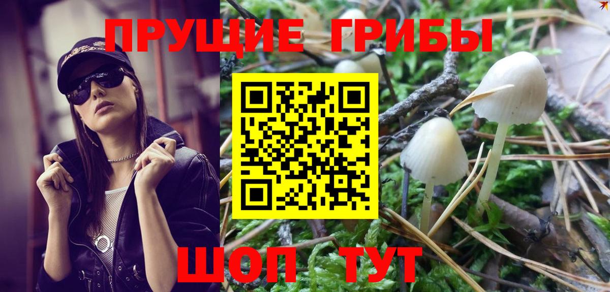 Галлюциногенные грибы Magic Shrooms Кореновск