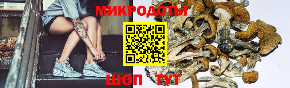 Псилоцибиновые грибы MAGIC MUSHROOMS  Вход с VPN  Кореновск 